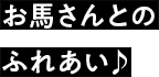 お馬さんとのふれあい♪