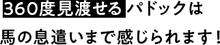 360度見渡せるパドックは馬の息遣いまで感じられます！
