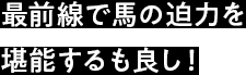 最前線で馬の迫力を堪能するも良し！