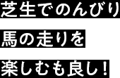 芝生でのんびり馬の走りを楽しむも良し！