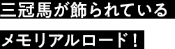 三冠馬が飾られているメモリアルロード！