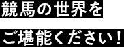 競馬の世界をご堪能ください！