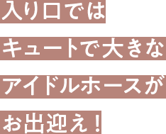 入り口ではキュートで大きなアイドルホースがお出迎え！